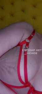 Проститутка Астаны Анкета №465408 Фотография №3533887