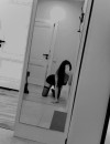 Фотография №3718236