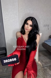 Транс Астаны Транс№392856 Nihan-пару дней Фотография №3731664